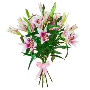 Моя загадка